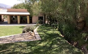 Patio Alto